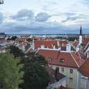 DSC_1001 (13)